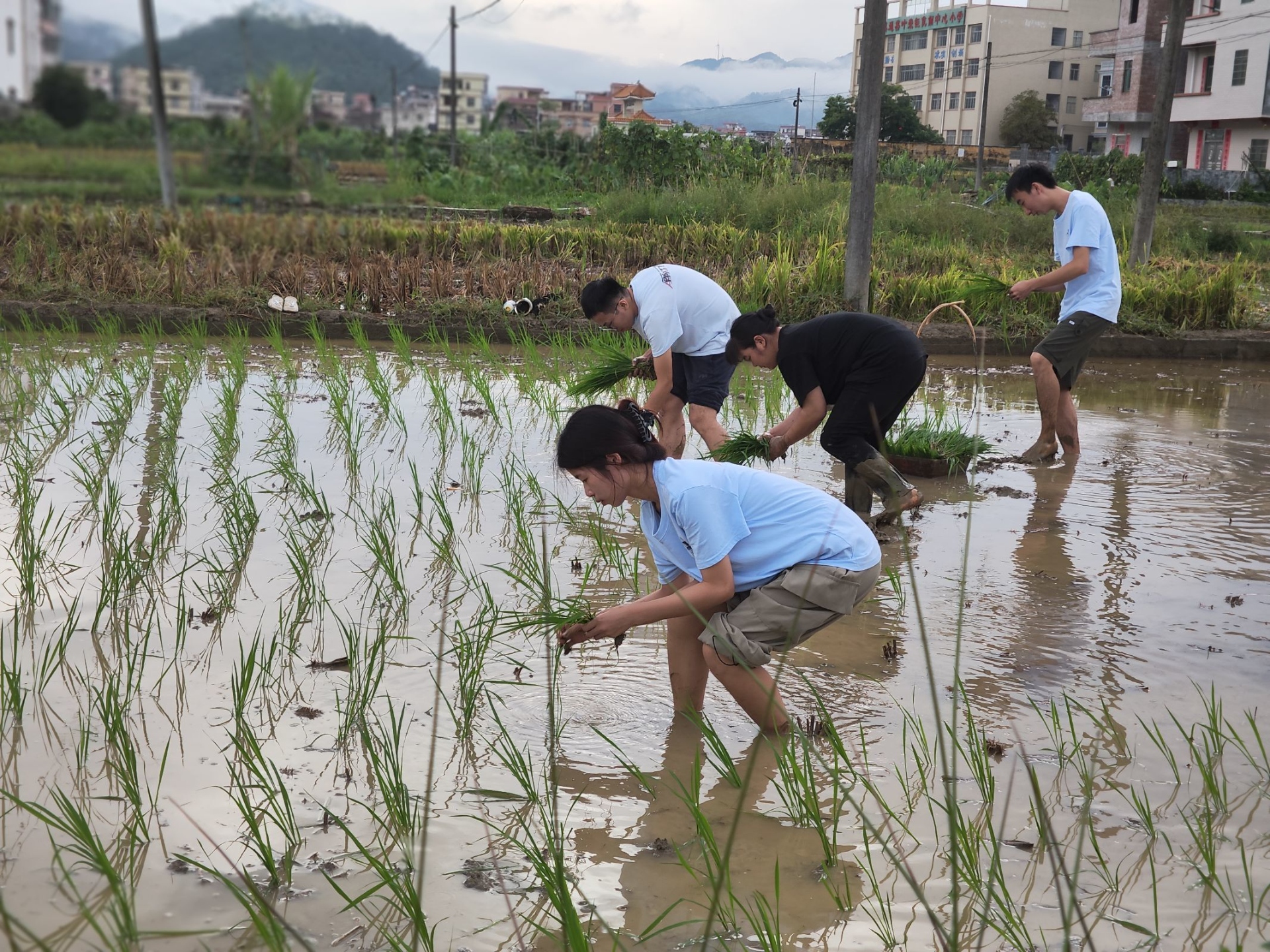 三下乡 | 金年会 金字招牌诚信至上生物参与“三下乡”公益活动，助力乡村振兴